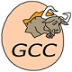 gcc编译器国内版最新版 v11.2.0